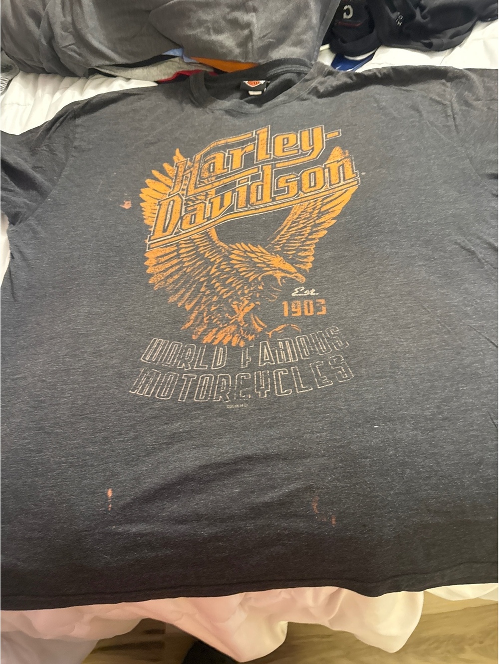 Harley-Davidson Men's XXL Graphic T-Shirt with Eagle Print
